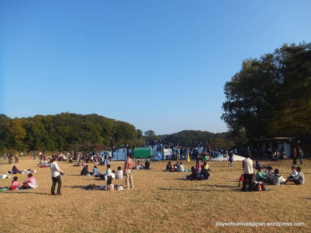Ponpoko Mountain in Shinrin Park Musashi Kyuryo national government park