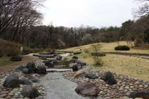 Shinrin Park Keiryu Hiroba wading river