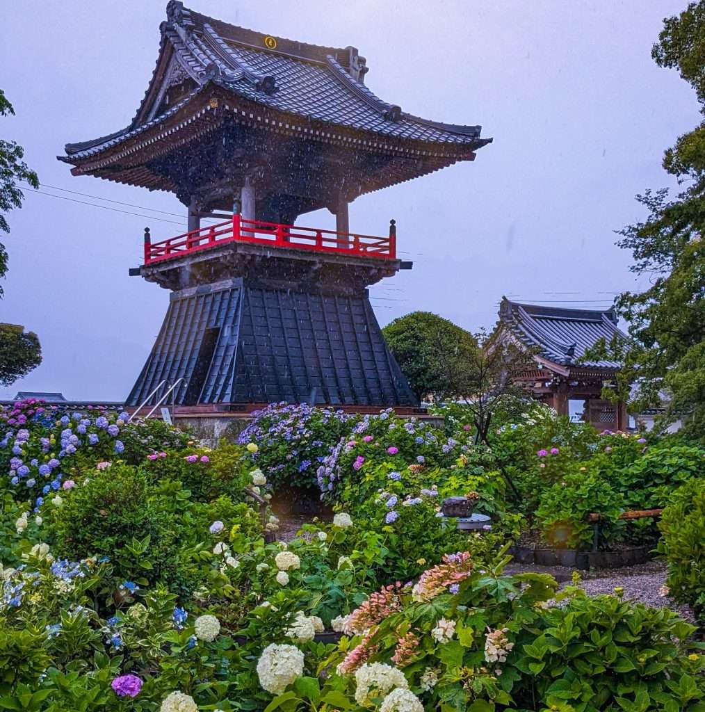Nogoji hydrangea temple Saitama