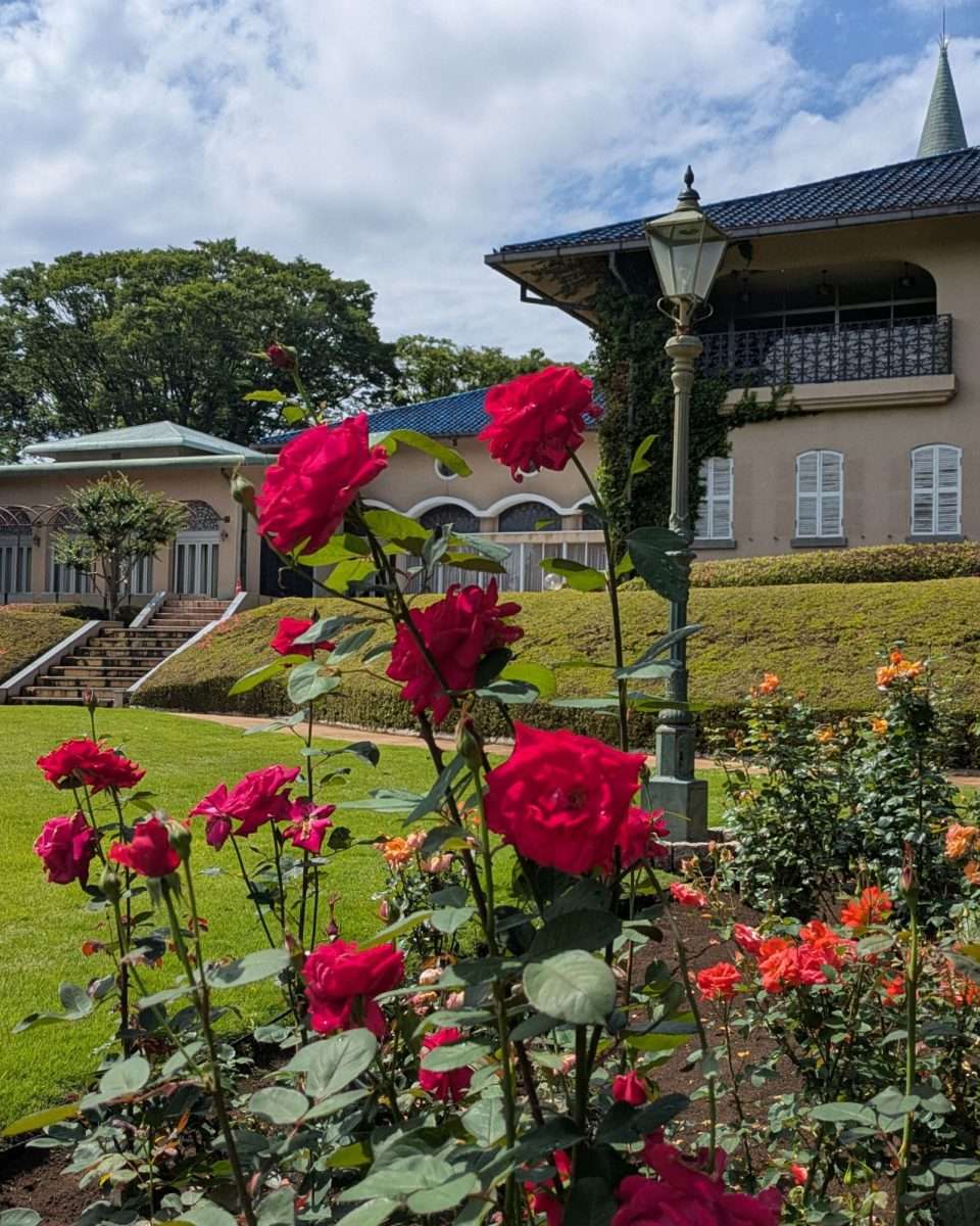 Kawaguchi green center roses and chapel where the emperor stayed